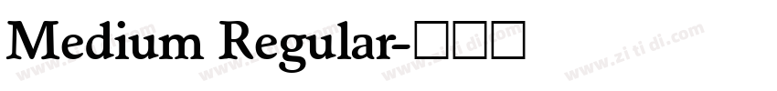 Medium Regular字体转换